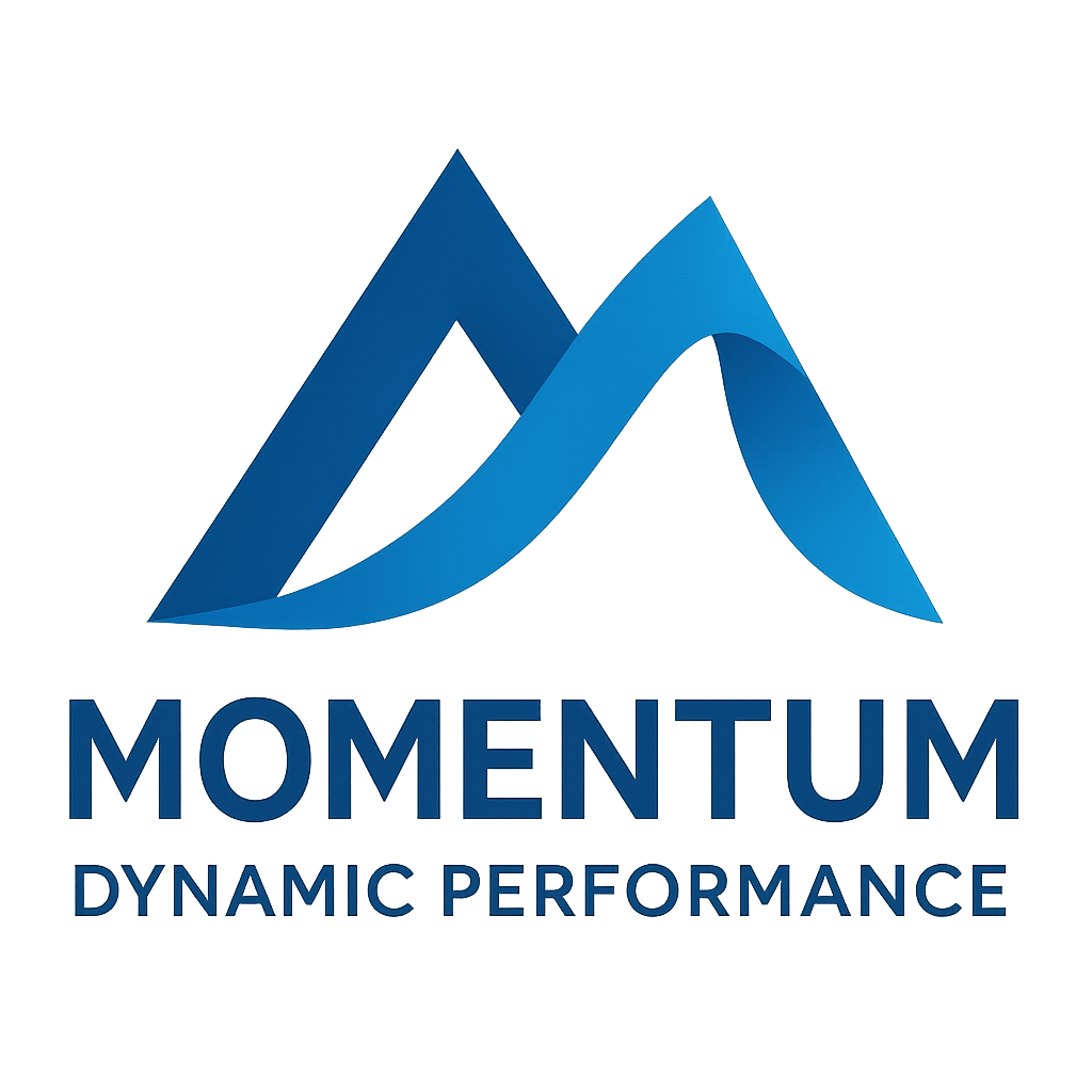 Momentum Dynamic Performance